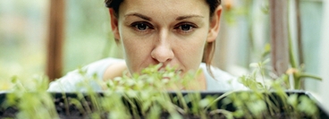 Young woman looking at plants in greenhouse, close-up
keywords: Growth, Agriculture, Botany, Horizontal, Indoors, 25-29 Years, Selective Focus, Head And Shoulders, Caucasian Appearance, Plant, Watching, Cultivated, Day, Curiosity, One Person, Gardening, Color Image, Greenhouse, One Young Woman Only, One Woman Only, Photography, Adults Only.